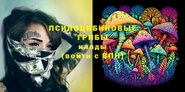 стаф Алзамай