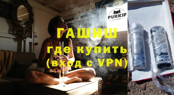 стаф Алзамай