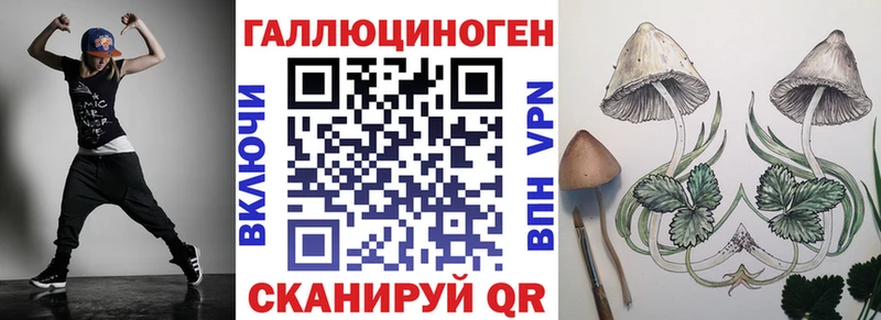 Псилоцибиновые грибы Psilocybe  ссылка на мегу как войти  Пучеж 